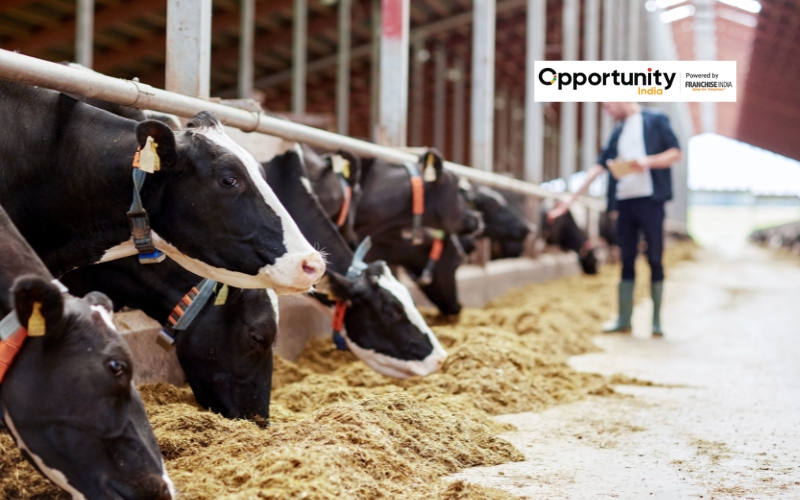 Dairy Farm Business Plan in India